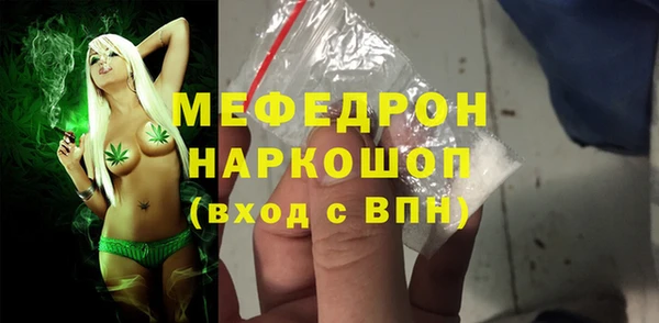 гидра Няндома