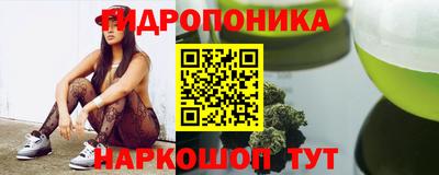 шишки Берёзовский