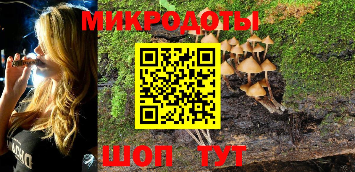 Галлюциногенные грибы Cubensis Ростов-на-Дону